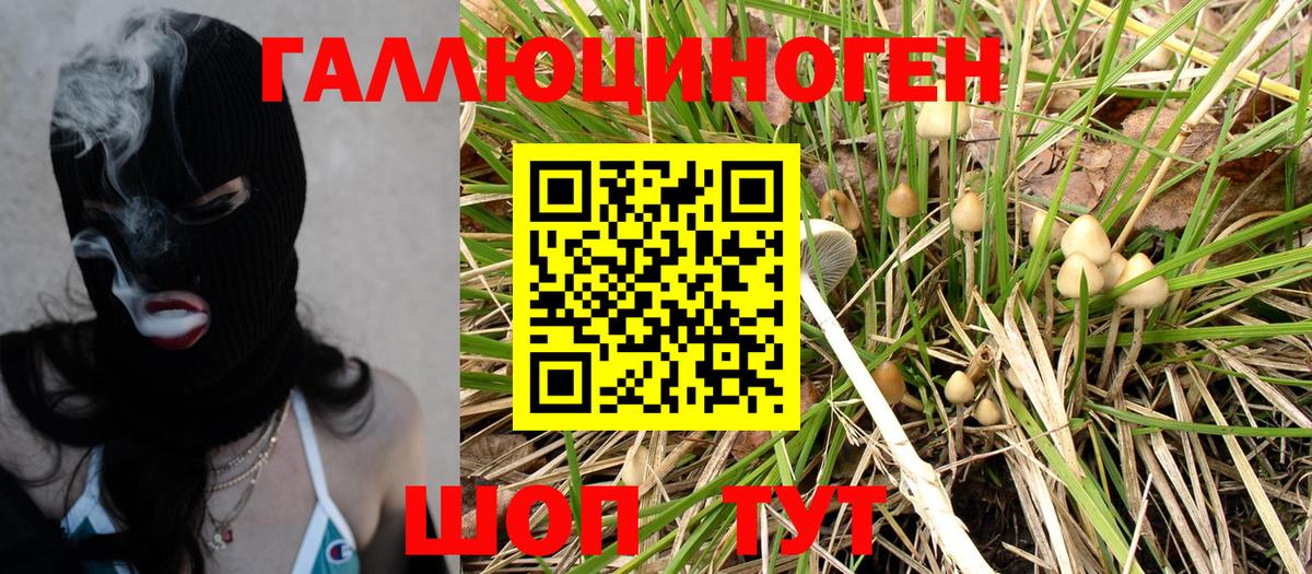 Псилоцибиновые грибы GOLDEN TEACHER  Псилоцибиновые грибы Psilocybe  Воскресенск  Вход с VPN 